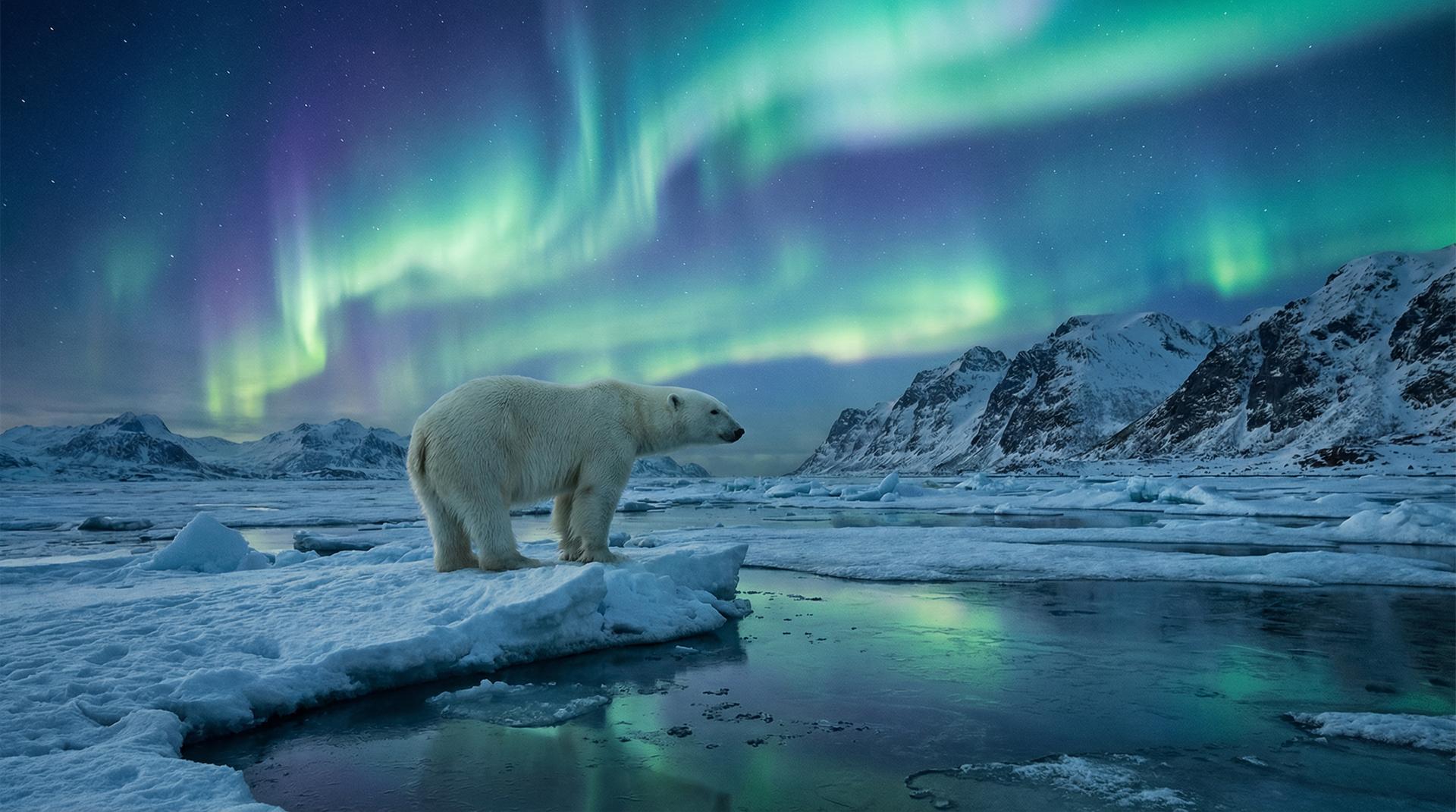 日本三级杰尼龟视频